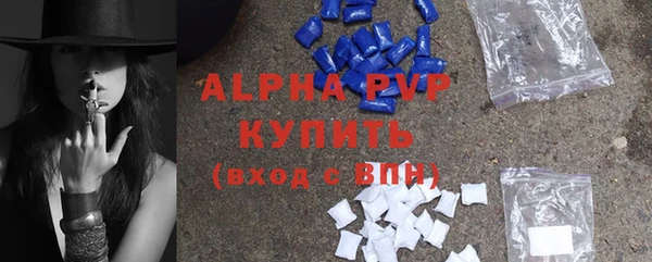 гидра Покачи